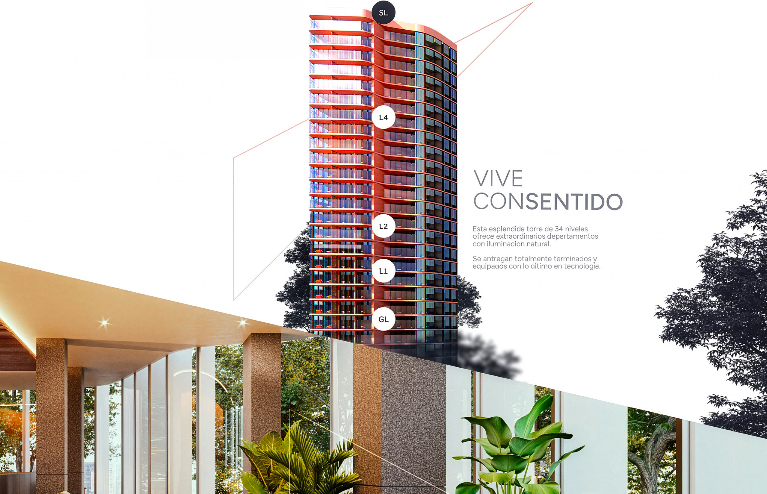 Dakkab — Vive consentido