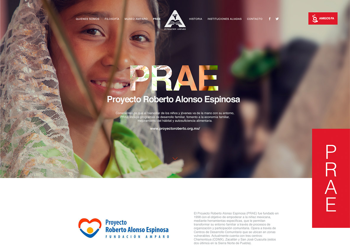 Fundación Amparo — PRAE, Proyecto Roberto Alonso Espinosa